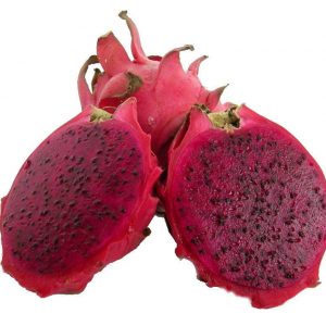 Wekiva Foliage Edgar's Baby Dragon Fruit Tree - 4 Live Starter Plants -  Hylocereous Undatus - Edible Tropical Fruit Plant from Florida  EdgarsBabyDragonFruitTree2x4 - The Home Depot