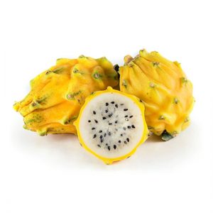 Yellow Dragon Fruit Plant