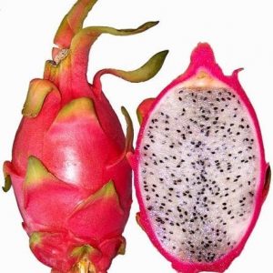 Vietnamese White Jaina Dragon Fruit